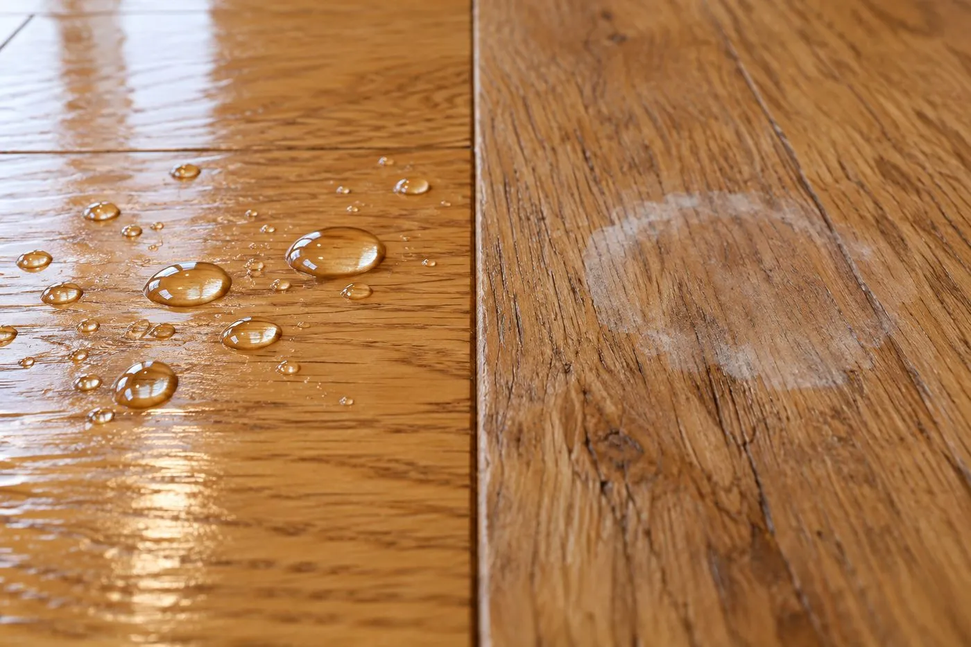 Gouttes d'eau perlant sur un parquet vitrifié à côté d'une auréole claire sur un parquet ciré